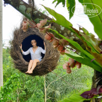 фото из отзыва ID 2119410