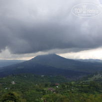 фото из отзыва ID 2119410