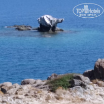 фото из отзыва ID 2119583