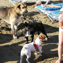 фото из отзыва ID 2122700