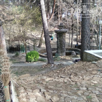 фото из отзыва ID 2122873