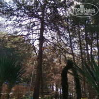 фото из отзыва ID 2122873