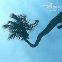 фото из отзыва ID 2123736