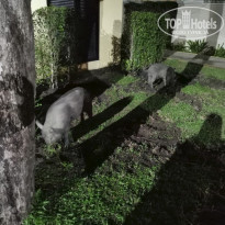 фото из отзыва ID 2124942