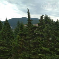 фото из отзыва ID 2126173