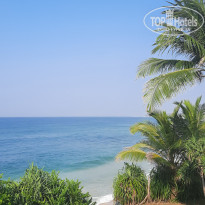 фото из отзыва ID 2130413