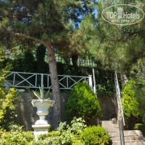 фото из отзыва ID 2131617