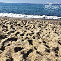 фото из отзыва ID 2134919