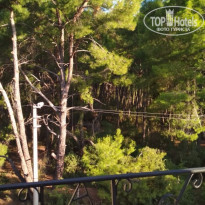 фото из отзыва ID 2135873