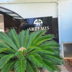 Логотип отеля Artemis Princess