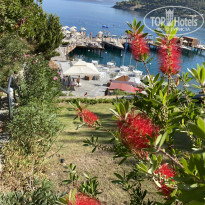 фото из отзыва ID 2140850