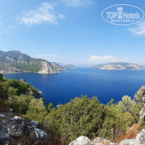 фото из отзыва ID 2143508