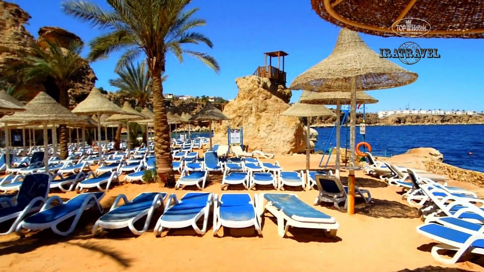 Dreams beach 5. Dreams vacation Resort Sharm el Sheikh 5 пляж. Дримс Бич Египет 5 звезд отель. Дрим Бич Резорт Шарм-Эль-Шейх алкоголь. Видео дримс Бич Шарм Эль Шейх 5.