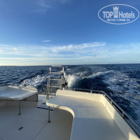 фото из отзыва ID 2150614