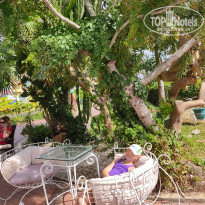 фото из отзыва ID 2154550