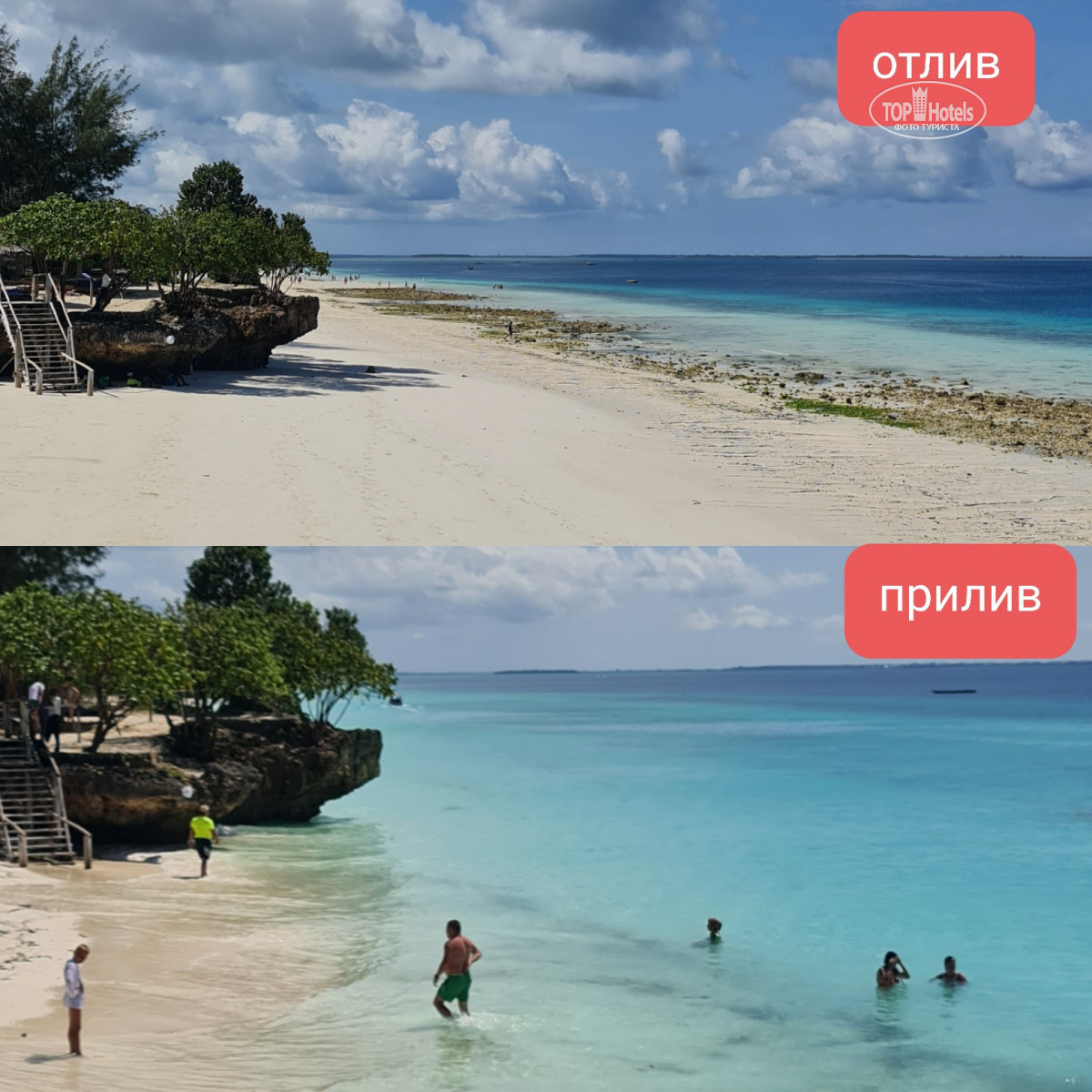 Занзибар отель Baobab Beach