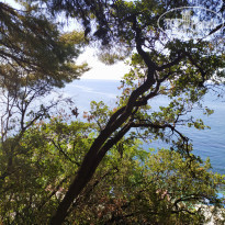 фото из отзыва ID 2159079