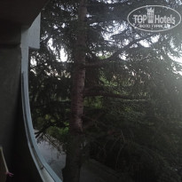 фото из отзыва ID 2159079