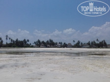 Jambiani White Sands Bungalows