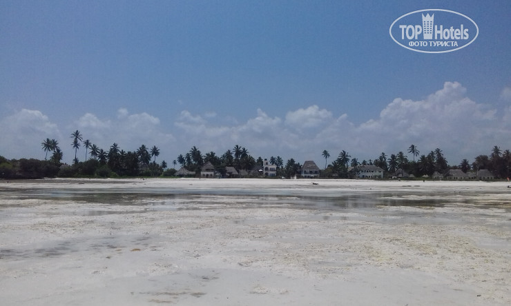 Фотографии отеля  Jambiani White Sands Bungalows 