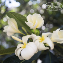 фото из отзыва ID 2164430