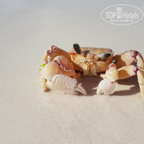 фото из отзыва ID 2164705