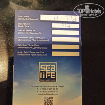 фото из отзыва ID 2166836