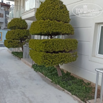 фото из отзыва ID 2166836