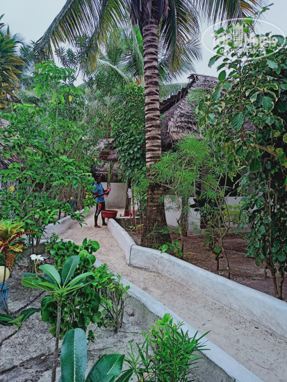 Фото Mnyasa Bungalows