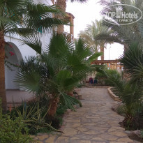 фото из отзыва ID 2170662