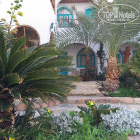 фото из отзыва ID 2170662