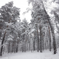 фото из отзыва ID 2170850