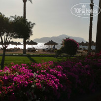 фото из отзыва ID 2172774