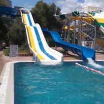 фото из отзыва ID 2172955