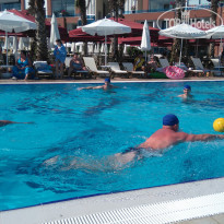 фото из отзыва ID 2172955