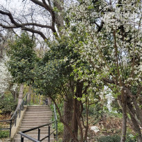 фото из отзыва ID 2174689