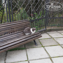 фото из отзыва ID 2174689