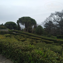 фото из отзыва ID 2174861