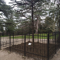 фото из отзыва ID 2174861