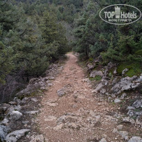 фото из отзыва ID 2174861