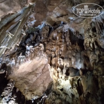 фото из отзыва ID 2174861