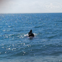 фото из отзыва ID 2174861