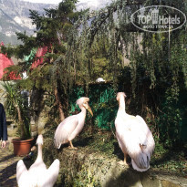 фото из отзыва ID 2174861