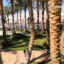 фото из отзыва ID 2175983