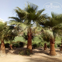 фото из отзыва ID 2177146