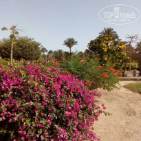 фото из отзыва ID 2177146