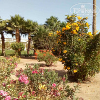 фото из отзыва ID 2177146