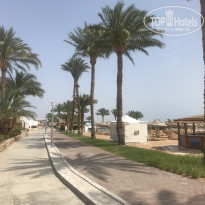 фото из отзыва ID 2177400