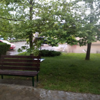 фото из отзыва ID 2182748