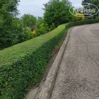 фото из отзыва ID 2192196